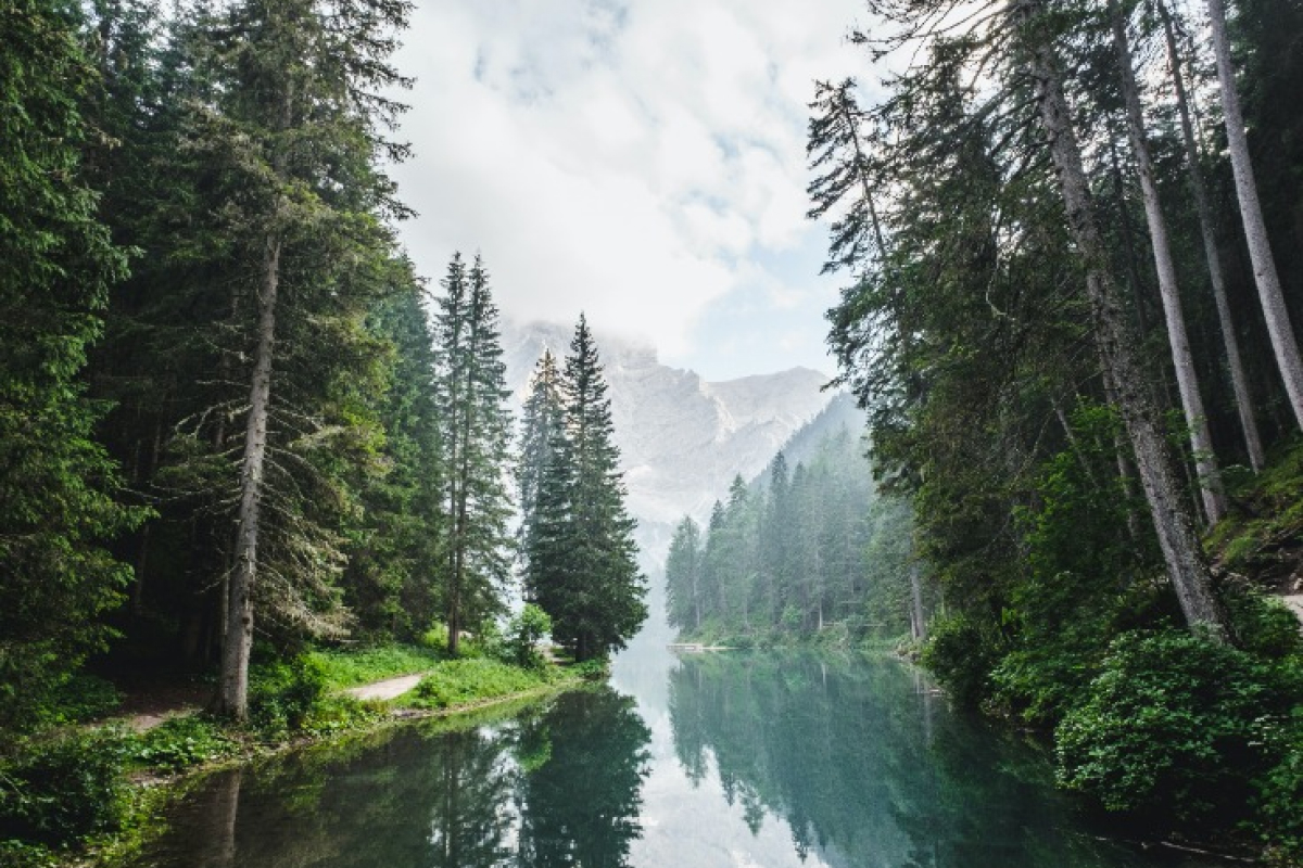 Home trees rivers 01.jpg